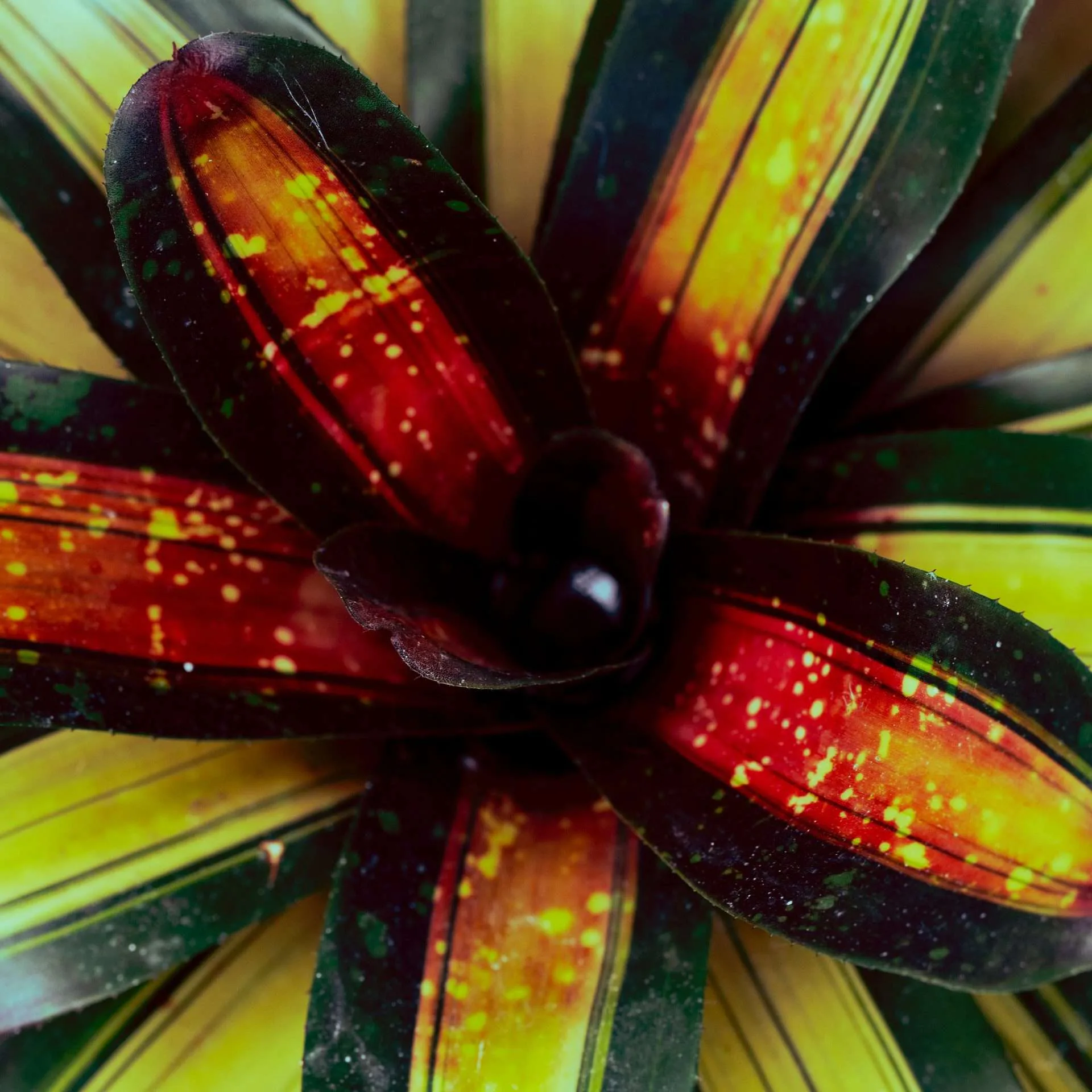 Artwork 02 by Patrizia Messineo