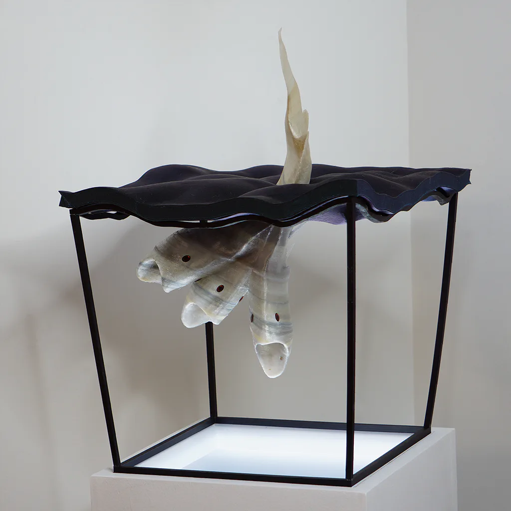 Sculptural installation of a creature emerging through a dark wavy surface within a black steel cube frame on a white pedestal