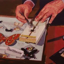 Painting of hands pinning butterflies in a specimen box