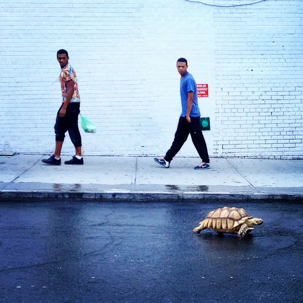 Color photograph of two pedestrians walking past a light blue brick wall with a large golden tortoise sculpture on the pavement below.