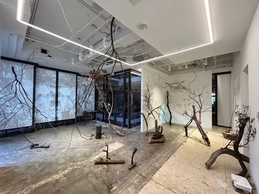 Gallery installation with branches and projected imagery filling a white gallery space