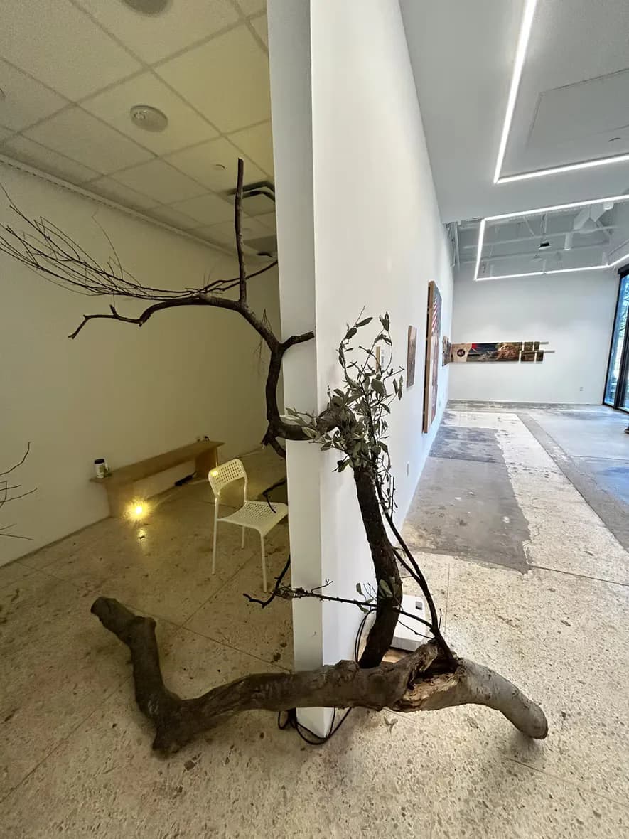 Gallery installation detail showing sculptural tree trunk leaning against a gallery wall with artworks visible in background