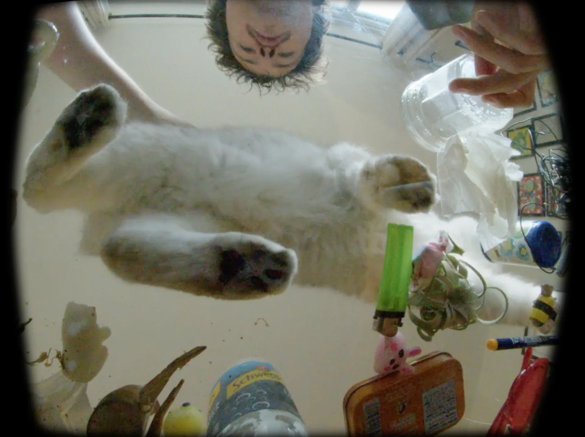 Overhead snapshot of person lying down with art supplies and objects scattered around, casual documentation shot.