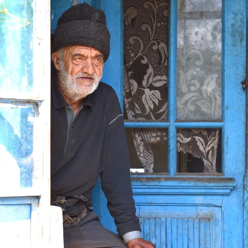 Hero artwork by Silvia Marinache