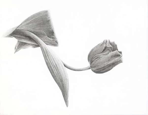 Hero artwork by StellarNebula420