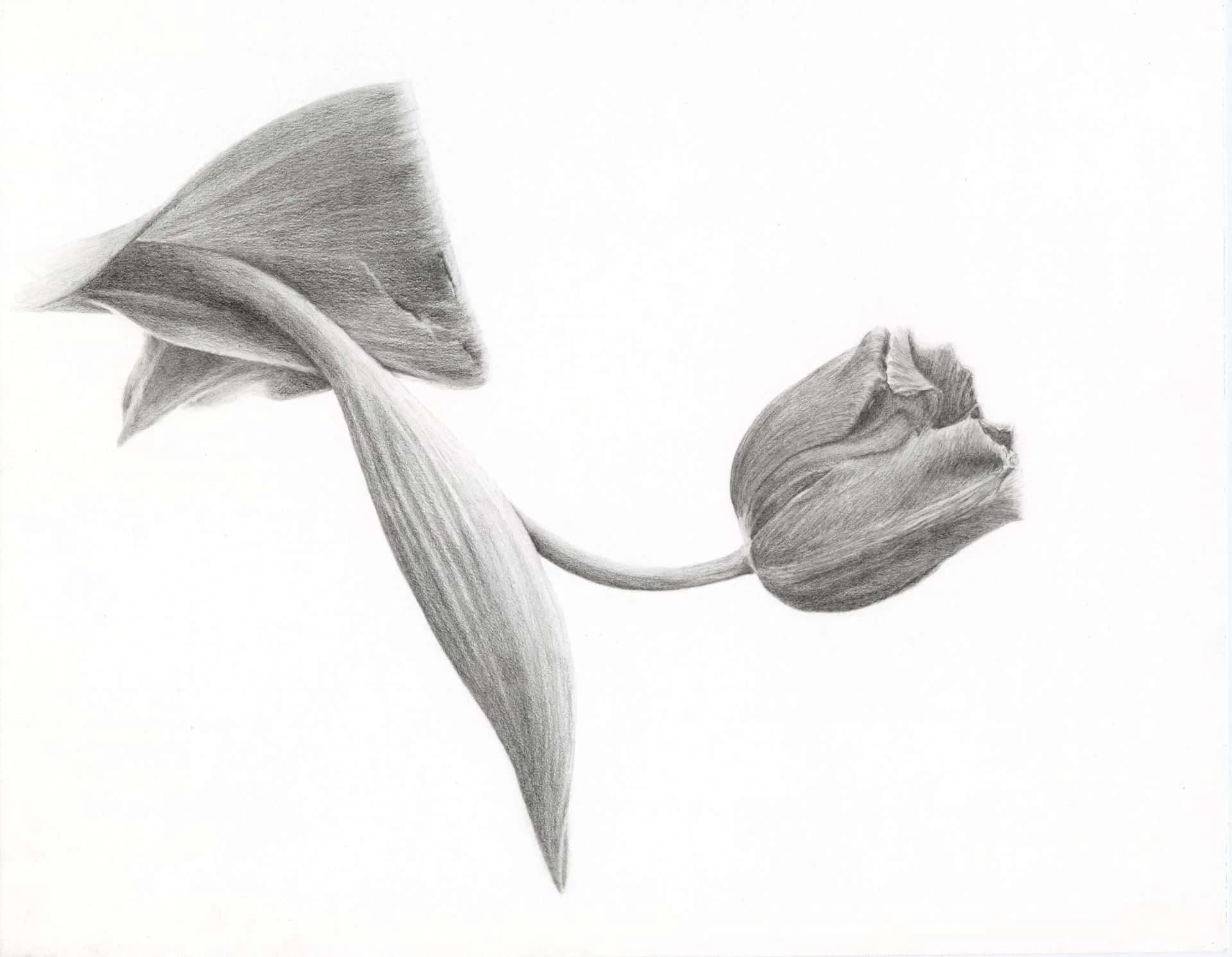 Artwork 01 by StellarNebula420