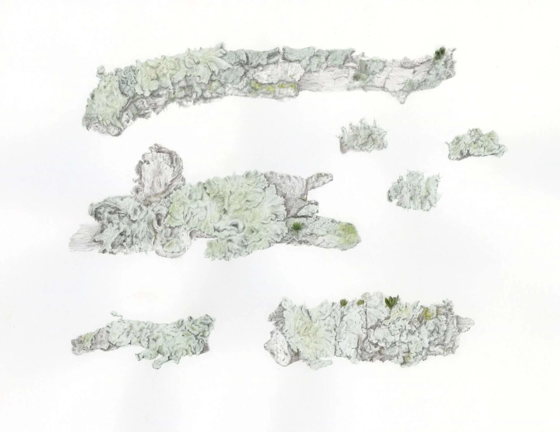 Artwork 03 by StellarNebula420