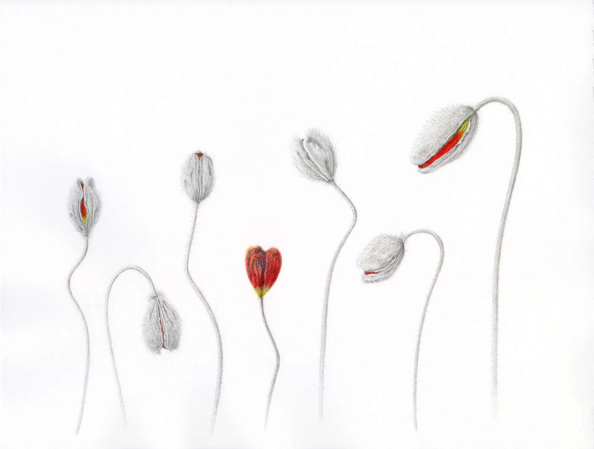 Artwork 04 by StellarNebula420