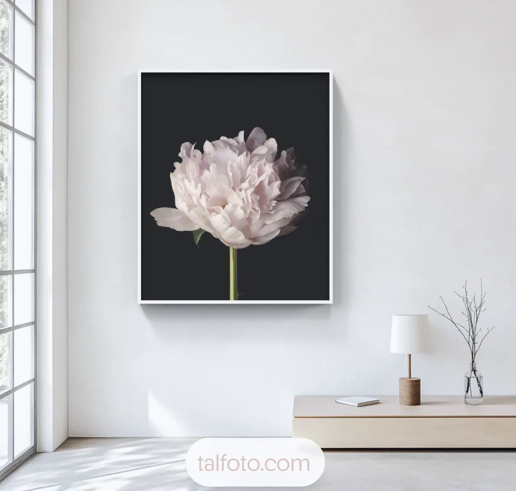 Artwork 02 by Tal Shpantzer