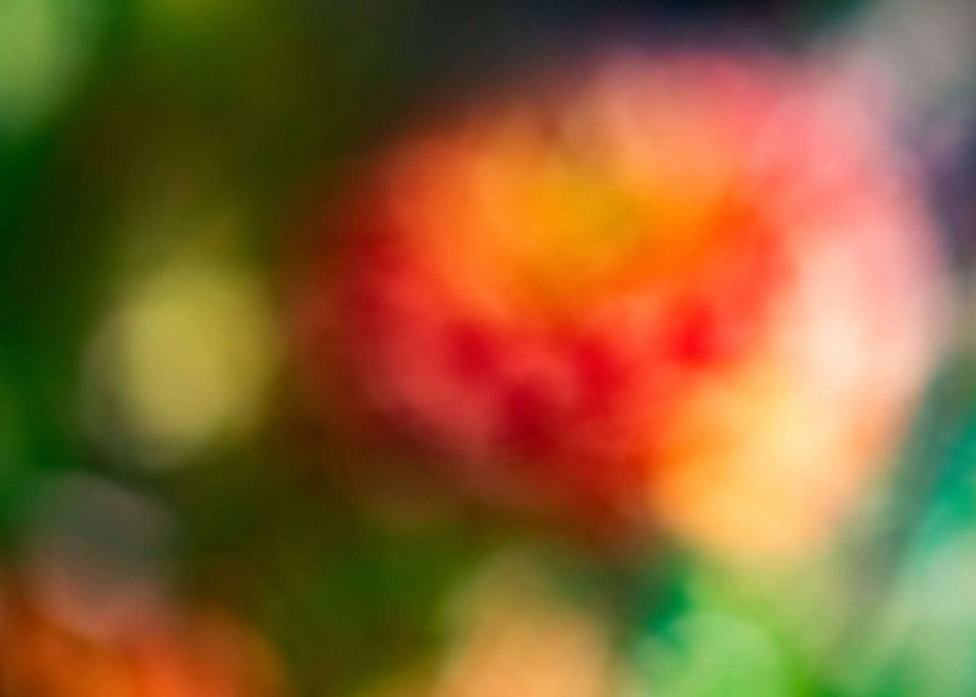 Hero artwork by Tim and Coco and friends