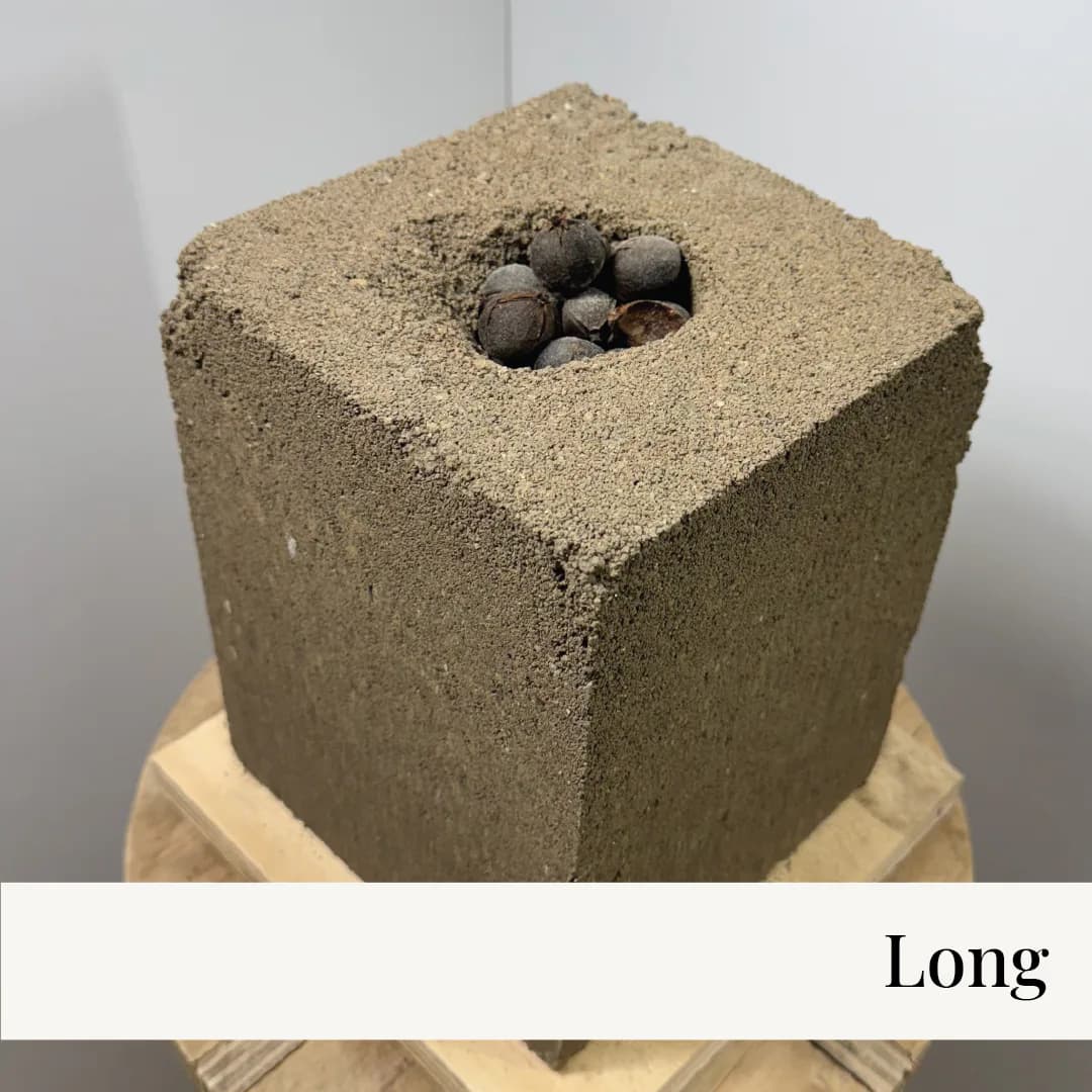 Artwork 02 by Trollcave Studios