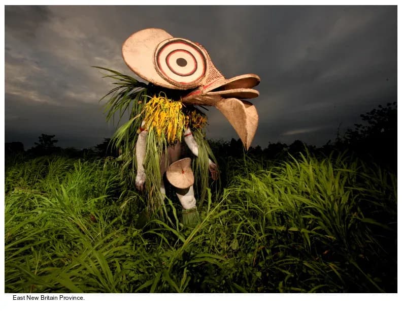 Wooden mask with concentric circles and bird-like features emerges from tall grass under stormy sky.