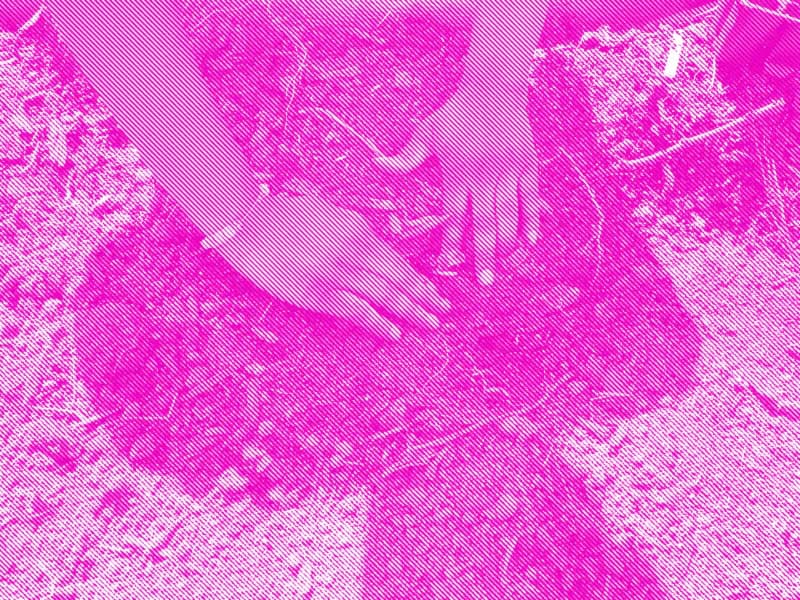 Mixed-media artwork in vivid magenta and pink tones showing abstracted organic forms with layered, textured surface quality.