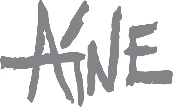 Gray solid letters spelling "AINE" with thick, distressed brushstroke texture.