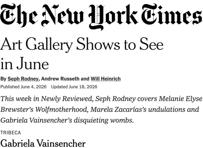 New York Times article header about art gallery shows in June, featuring Gabriela Vainsencher and other contemporary artists with publication date June 4, 2026.