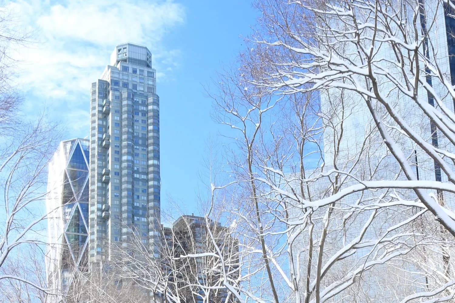 Similar Manhattan street scene with modernist skyscrapers, winter trees, and clear sky.
