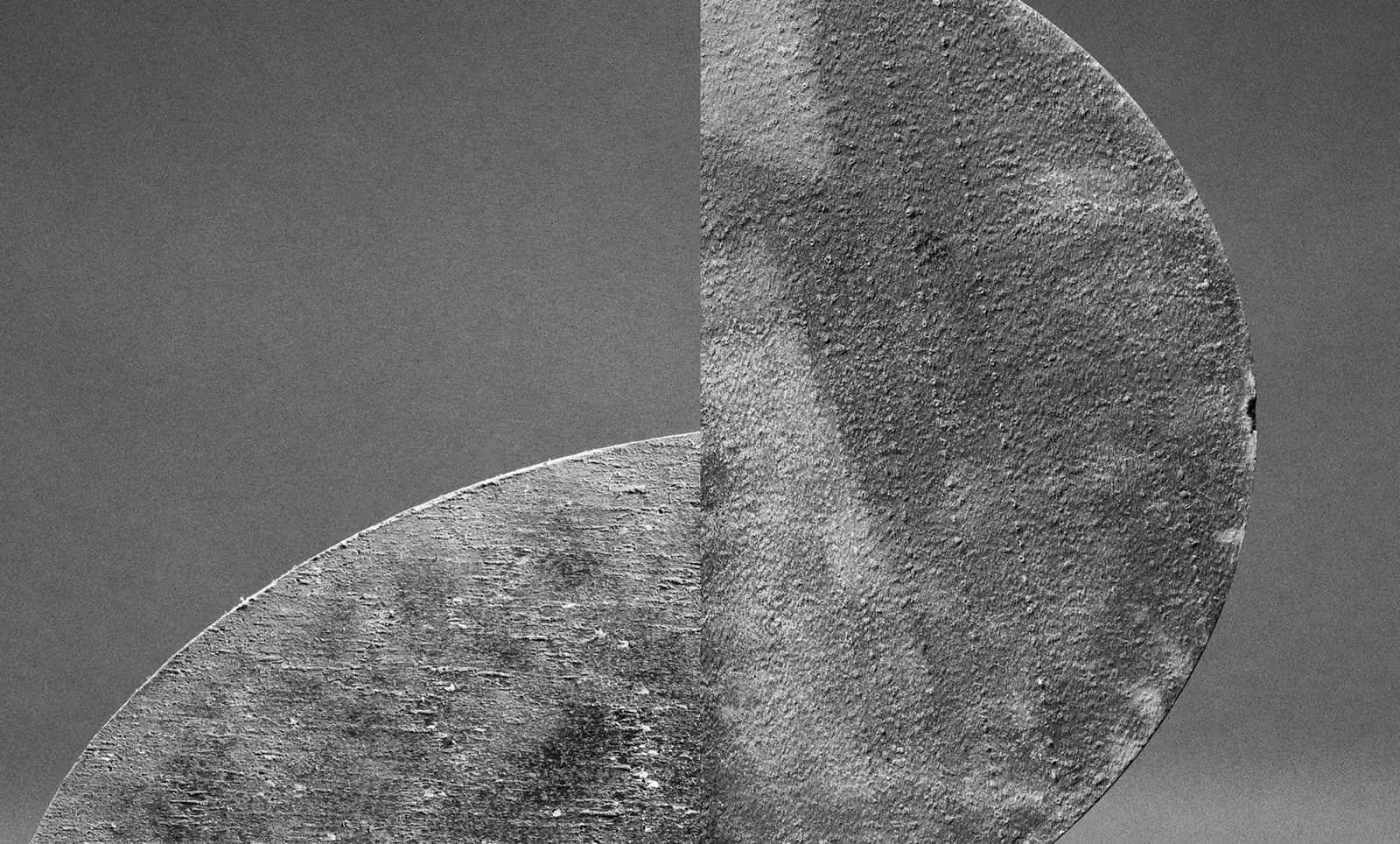 Abstract black and white photograph or print featuring curved, organic textured forms with dramatic lighting and tonal gradations.