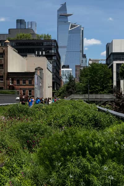 Elevated green rooftop space with lush vegetation and visitors, surrounded by red-brick and concrete buildings with modern skyscrapers visible in the background.