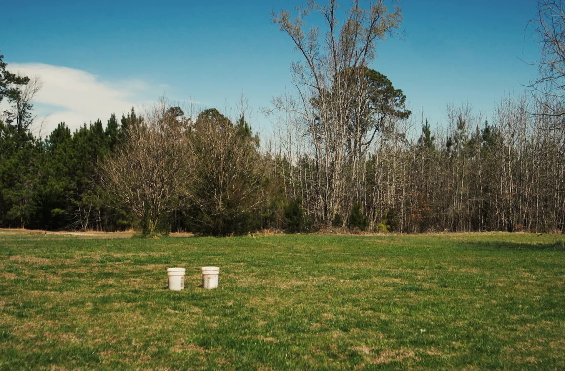 Two white buckets sit in a vast green field with bare and evergreen trees lining the horizon under blue sky.