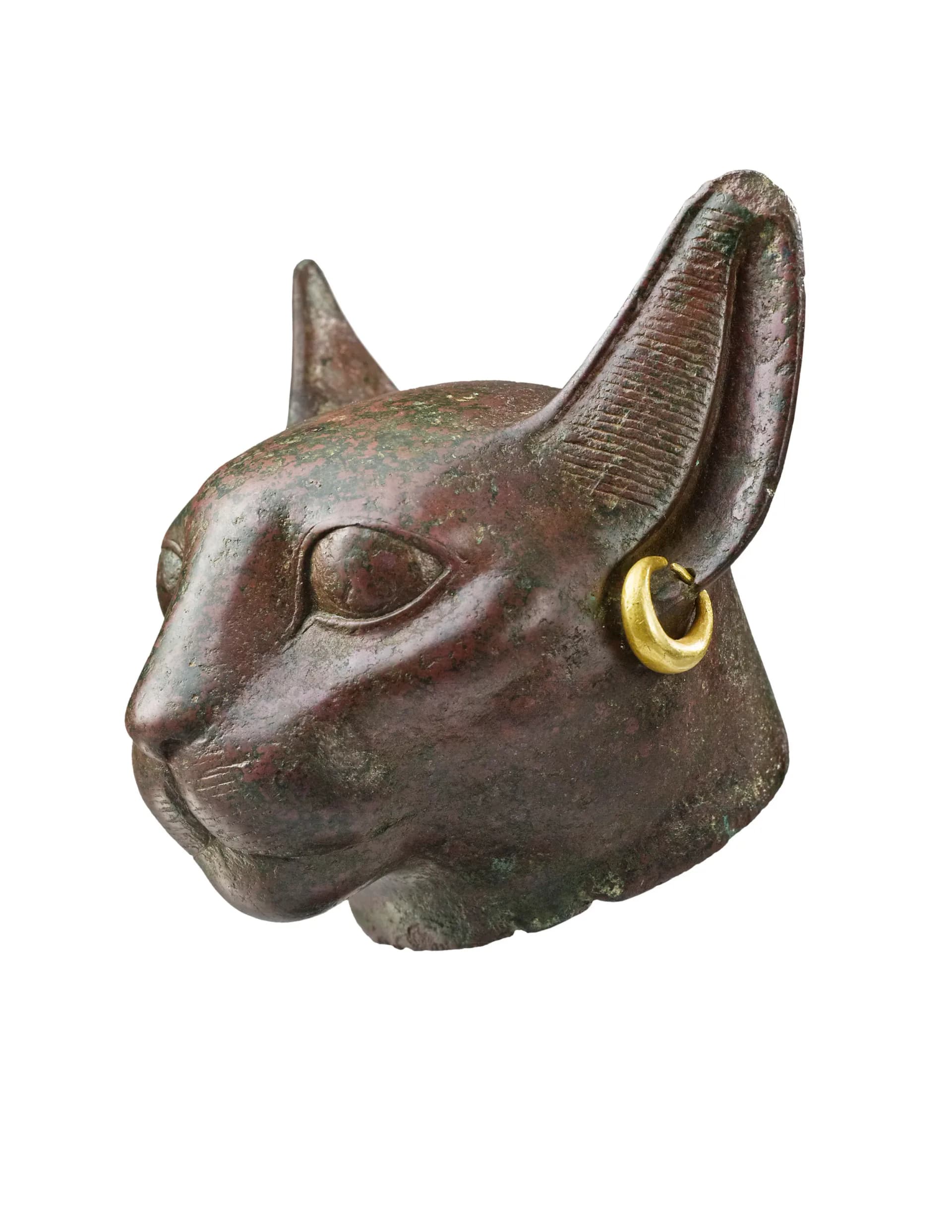Bronze cat head sculpture with pointed ears and gold hoop earring, shown in three-quarter view against white background.