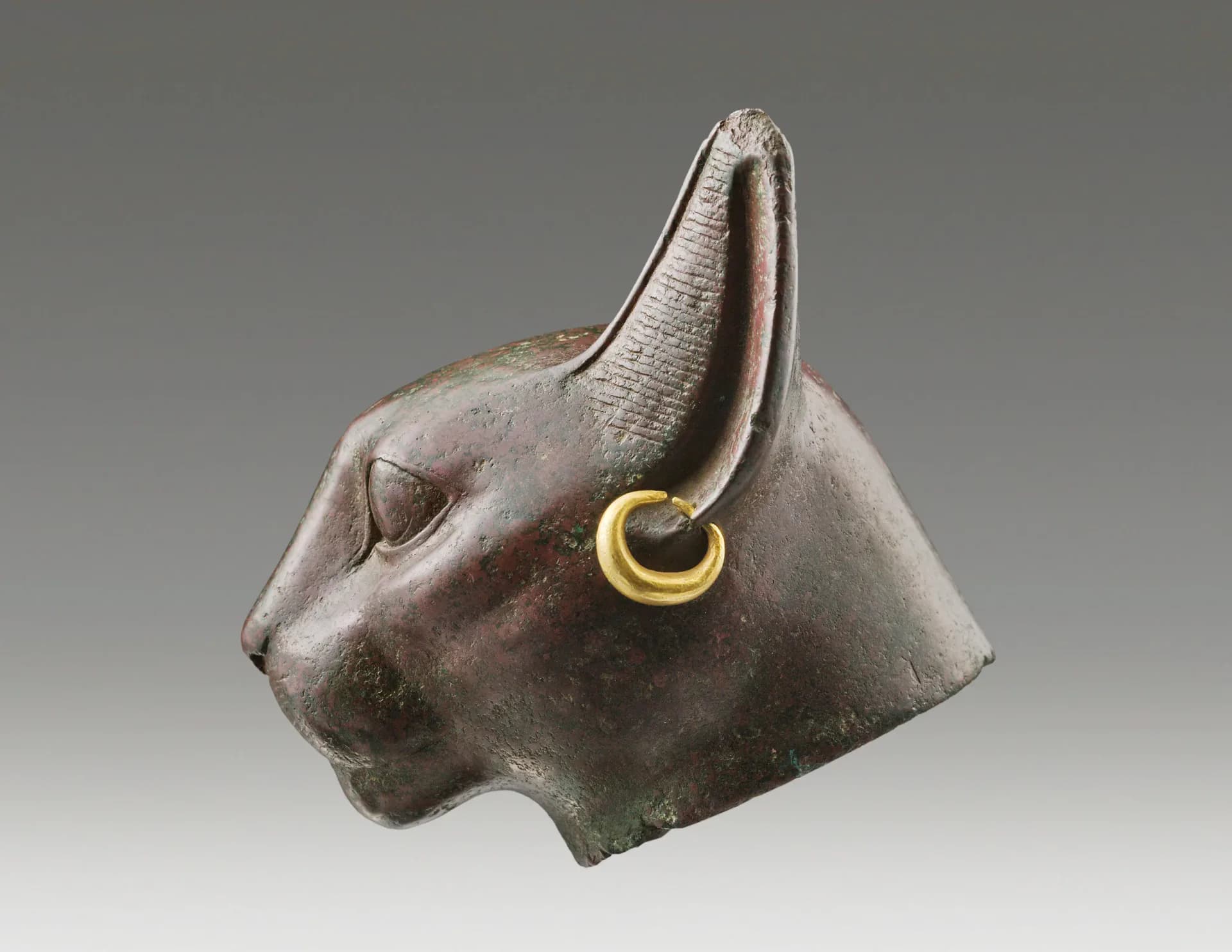 Side-profile bronze cat head sculpture with raised ear and gold hoop earring, gray background.
