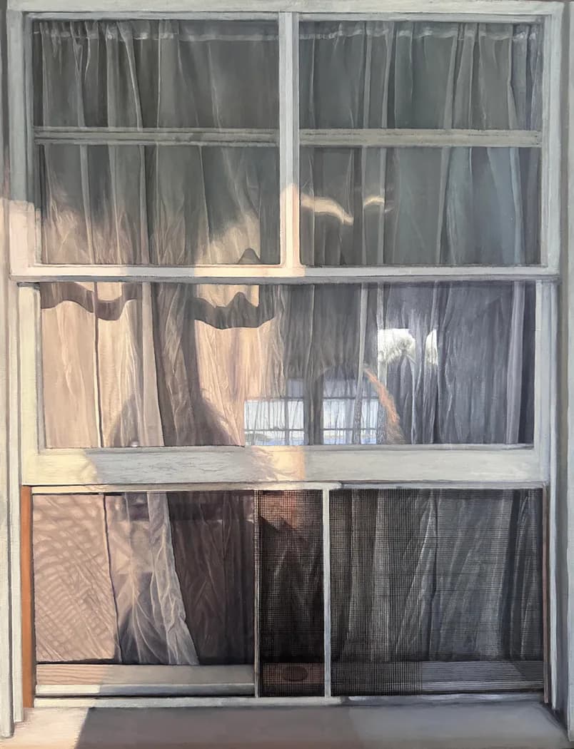 A white-framed multi-pane window with sheer gray curtains, sunlight casting shadows on the glass, seen from exterior.