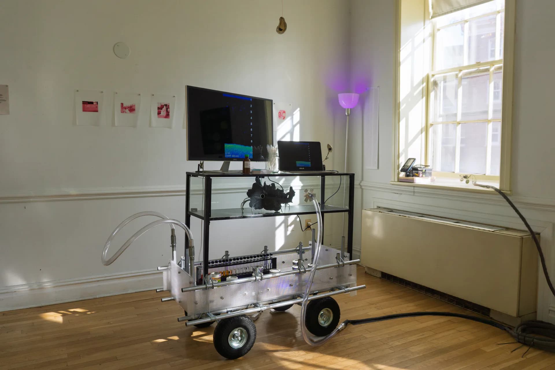 Bright gallery space with monitor on shelf, wheeled glass display cart, purple balloon, and small framed works on walls.