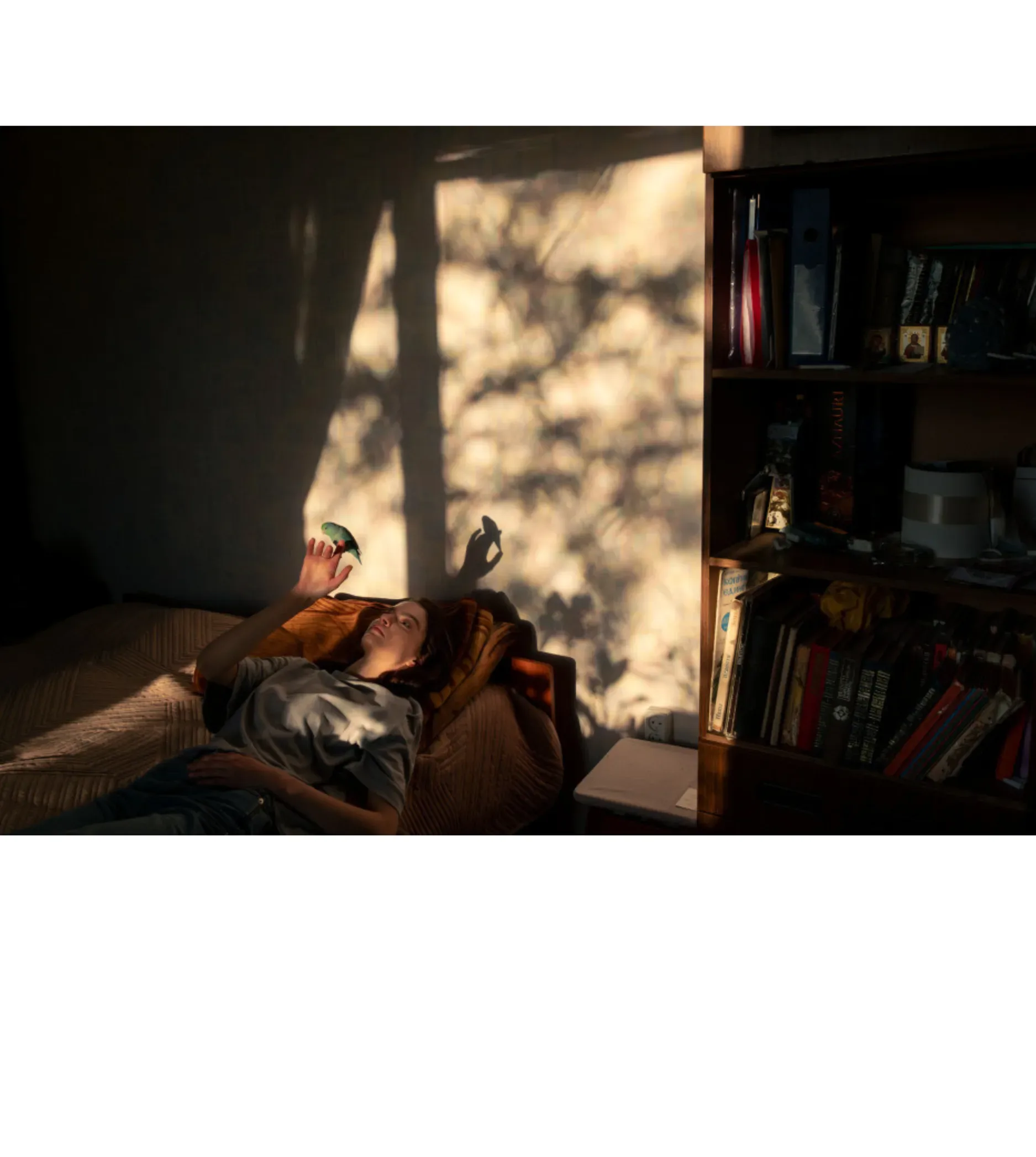 Person in rust-colored jacket lying on floor in dramatic side lighting with tree-shadow patterns cast across body and bookshelf visible in background.