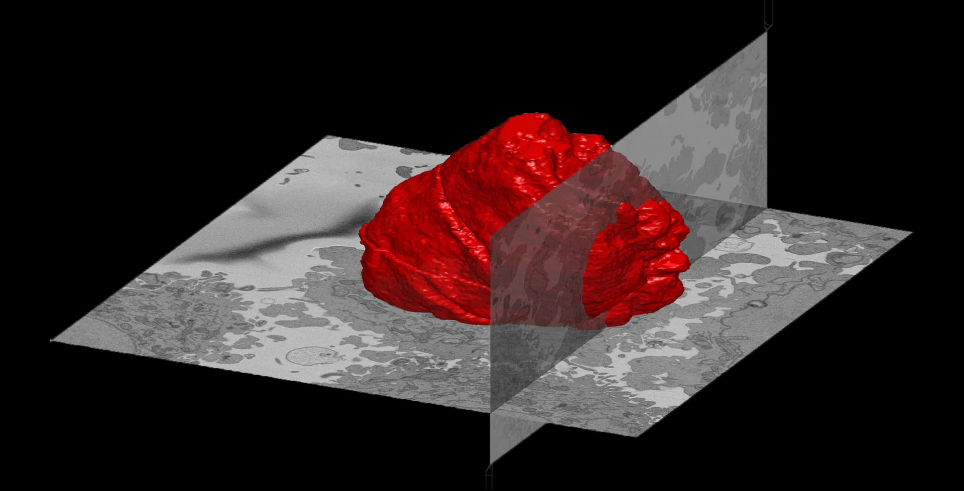 3D rendered abstract form: glossy bright red organic shape intersecting translucent grey geometric planes on a textured grey background.