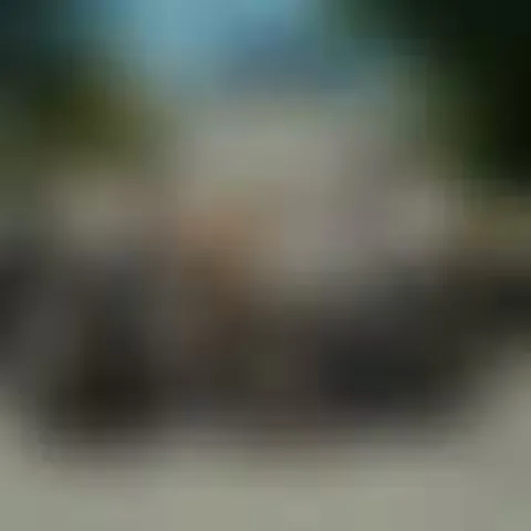 Heavily blurred image with indistinct forms and muted colors; content unclear.