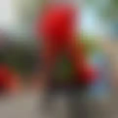 Heavily blurred photograph with red and multicolored elements; specific subject indecipherable.