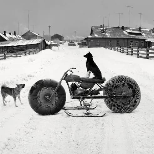 Black and white photograph of a person sitting on a large-wheeled recumbent vehicle in snowy landscape with dogs and rural buildings.
