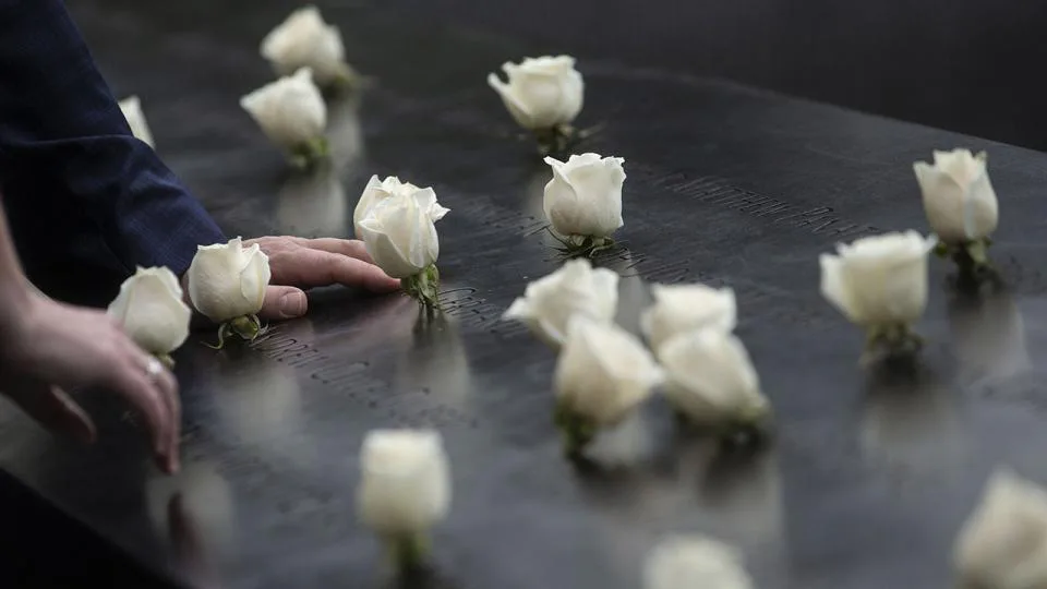 Hand touching white rose flowers placed on dark memorial surface with additional roses visible.