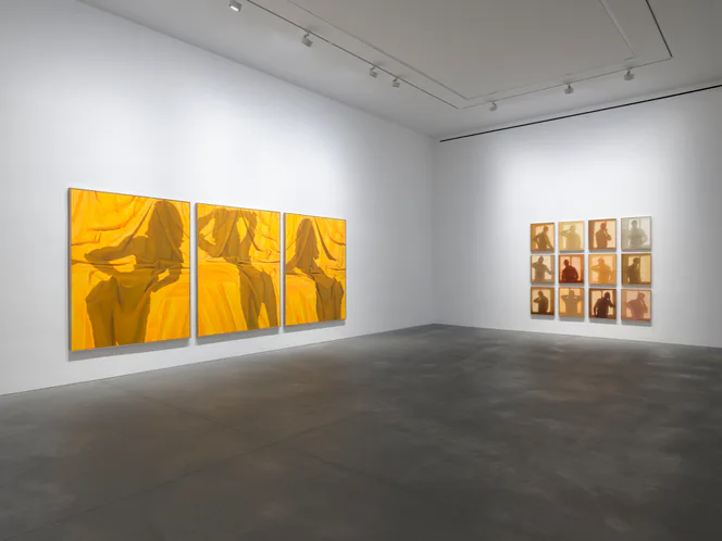 Gallery space with polished concrete flooring displaying large golden-yellow triptych painting on left wall and smaller grid of figurative works on right.