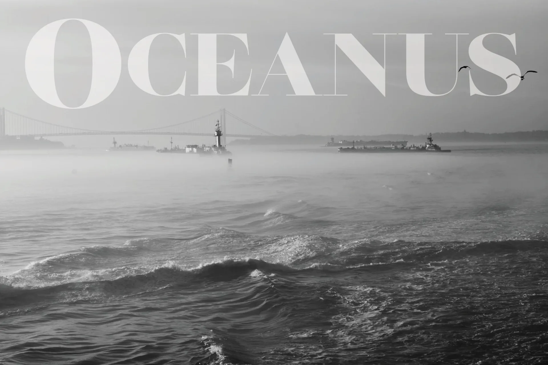 Black and white photograph titled 'Oceanus' showing a cargo ship and smaller vessel on misty water with waves in foreground.