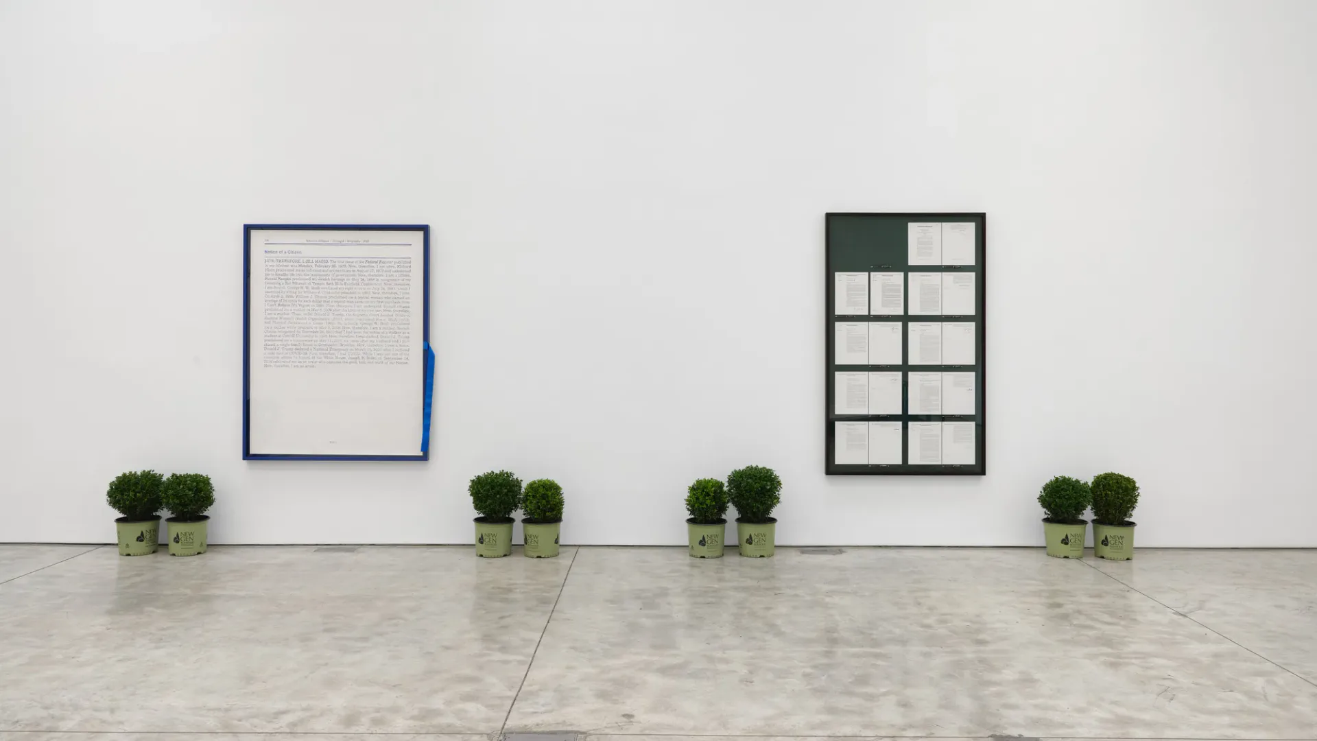 Gallery interior with white walls, concrete floor, and four potted green plants arranged horizontally, a blue-framed white canvas on left and dark grid artwork on right.