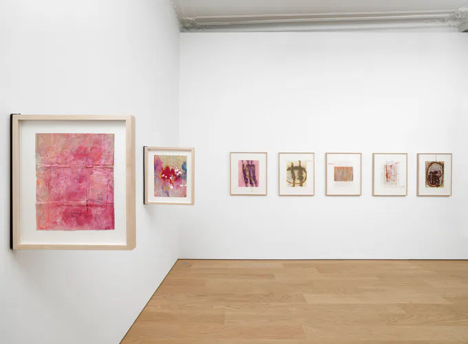 Gallery installation view with white walls displaying framed artworks: a large pink abstract textile or print on left, eight smaller framed works in natural wood frames arranged horizontally.