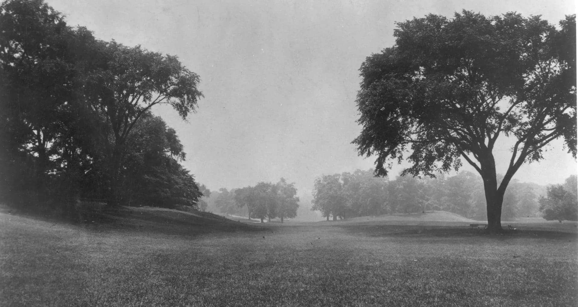 Black and white photograph of Prospect Park showing open meadow with mature trees in misty atmospheric conditions.