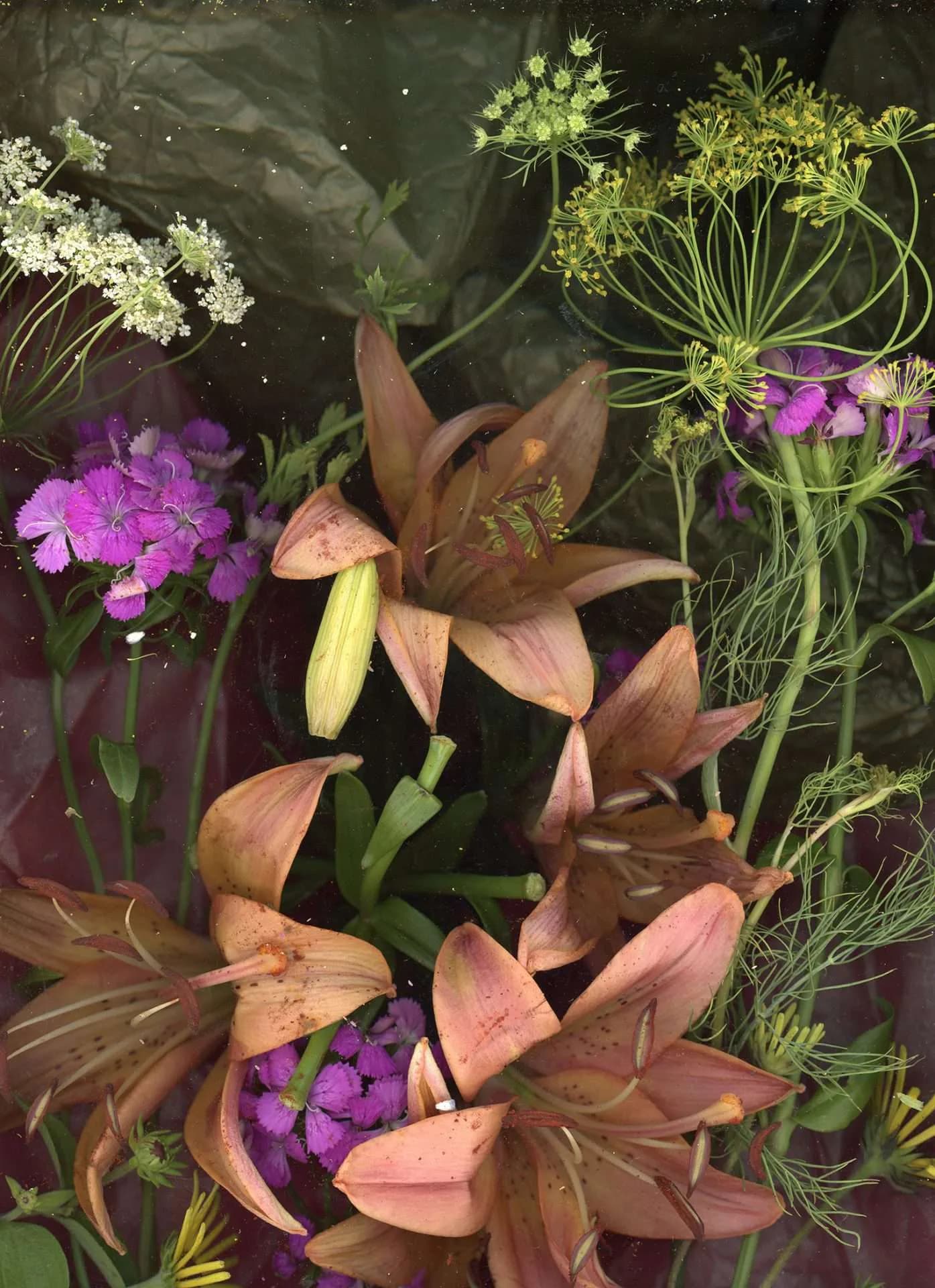 Artwork 02 by Riley - Young Studio