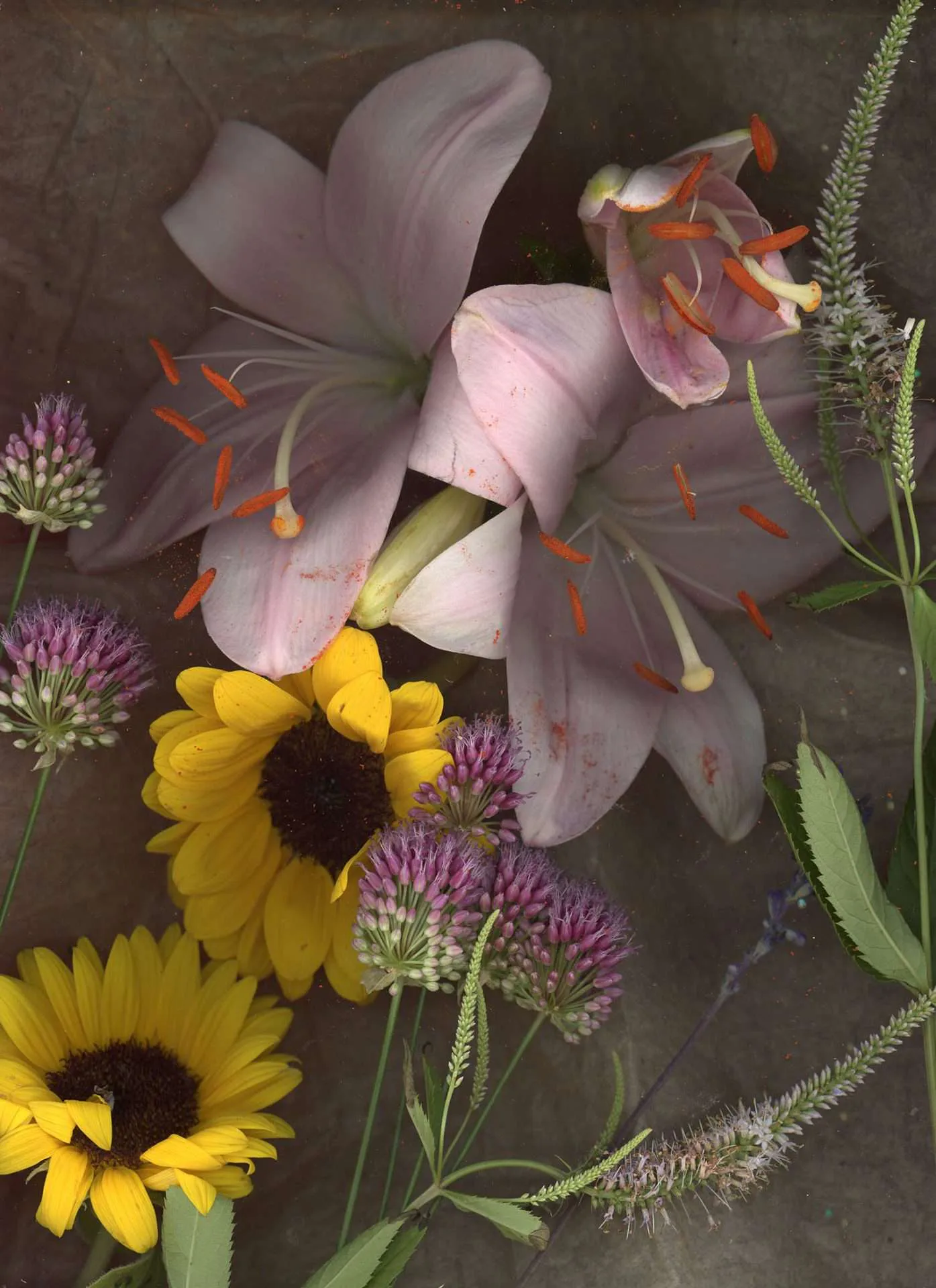 Artwork 03 by Riley - Young Studio