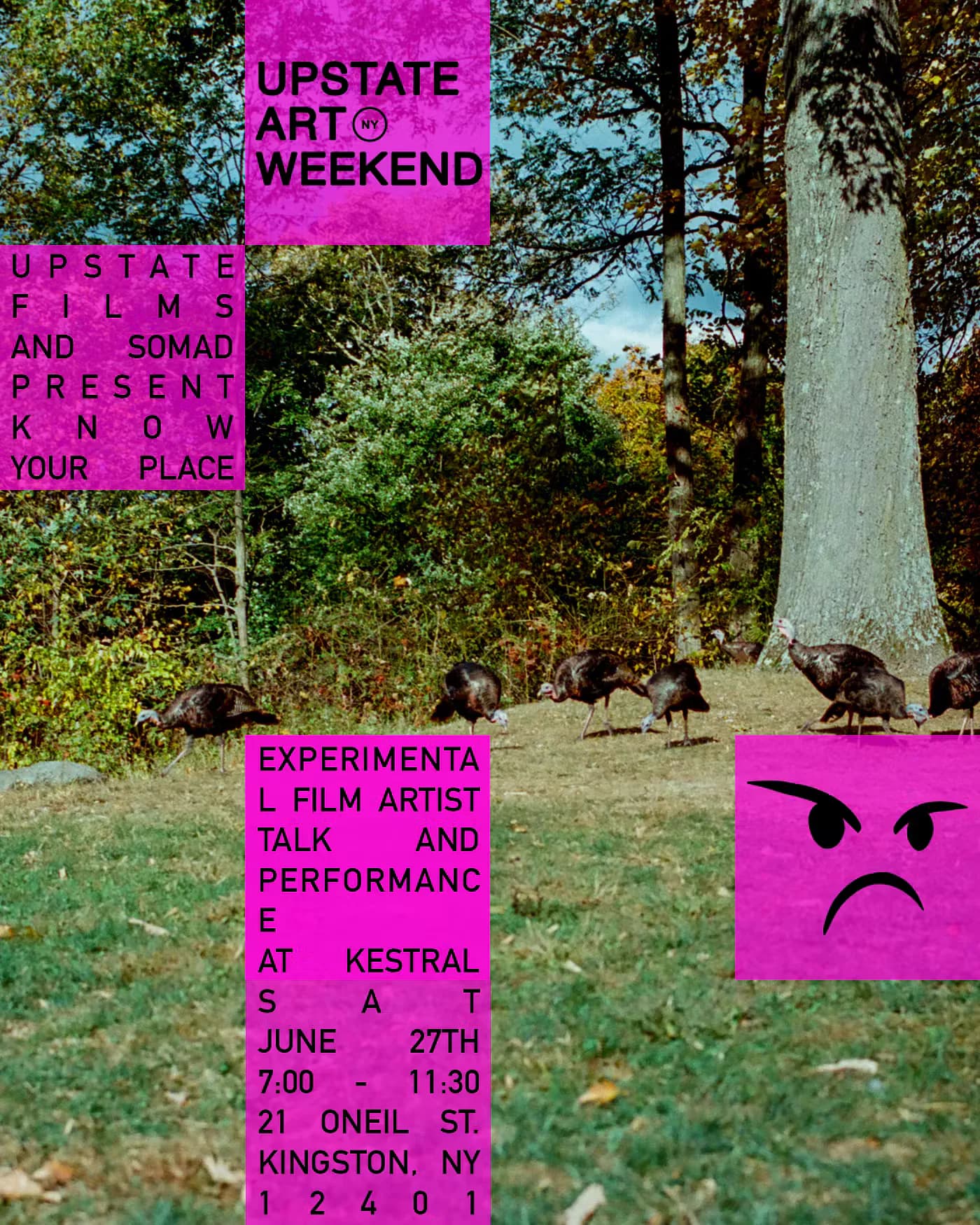 Bright magenta poster for Upstate Art Weekend featuring experimental film artist talk and performance details, with nature background and angry face emoji graphic.