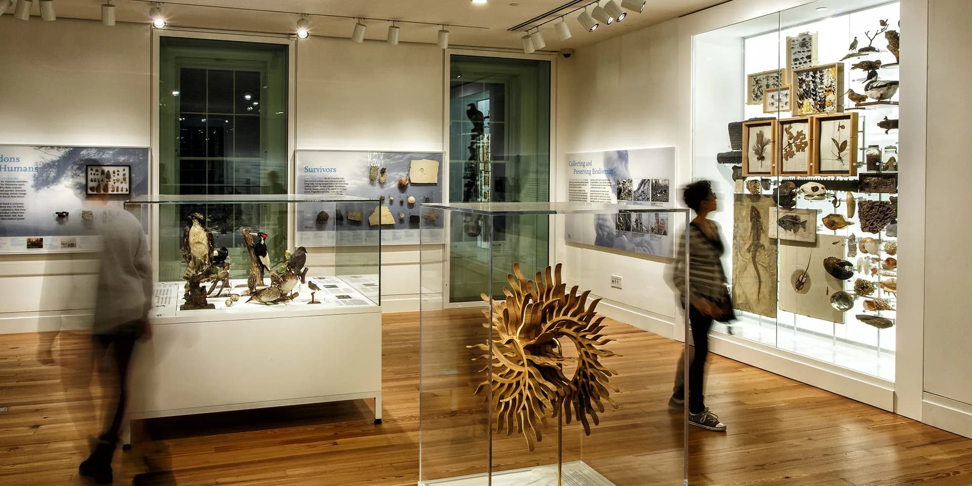 Gallery interior at Staten Island Institute of Arts and Sciences with glass display cases, wooden floors, and visitors viewing exhibits on white walls.