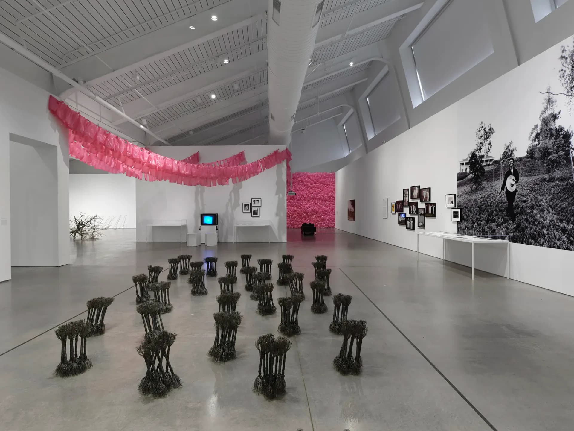 Contemporary gallery space with dark wooden sculptural forms arranged on floor, pink textile installation overhead, and black-and-white photographs on walls.