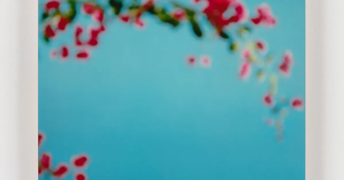 Abstract painting or photograph with vibrant red and pink flowers or organic shapes against a bright turquoise-blue background.