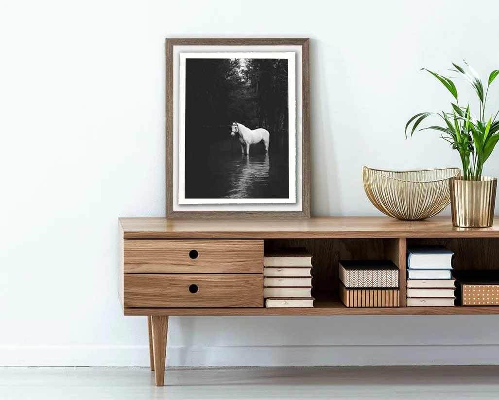 Black and white photograph of white horse standing in water against dark forest background, framed in wood, displayed above wooden console.