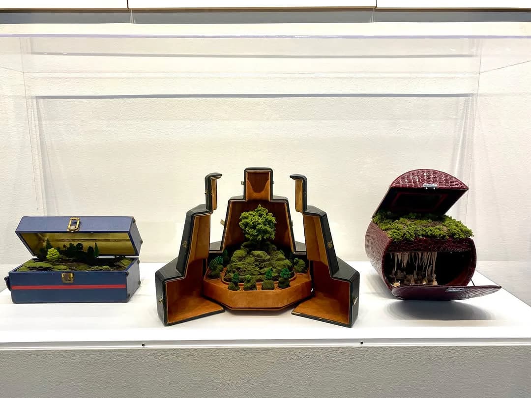 Three wooden sculptural vessels with living moss planted inside, arranged on a white gallery shelf.