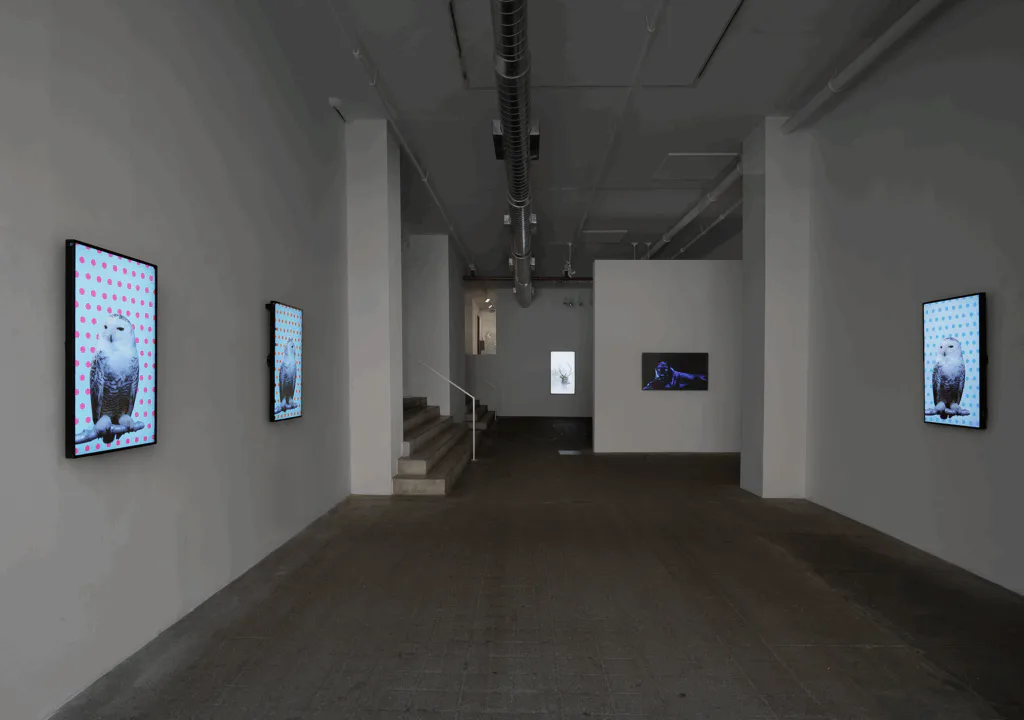 Gallery interior at Winston Wächter Fine Art with polished concrete floor, white walls, overhead industrial lighting, and digital screens mounted on walls displaying blue-toned imagery.